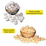 pure buli/ured dal bori/badi/vadi